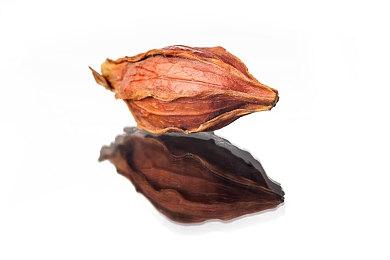 AMD发布最强掌上游戏PC芯片组：Zen 2 Extreme